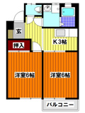 プラムコートオゴセの画像