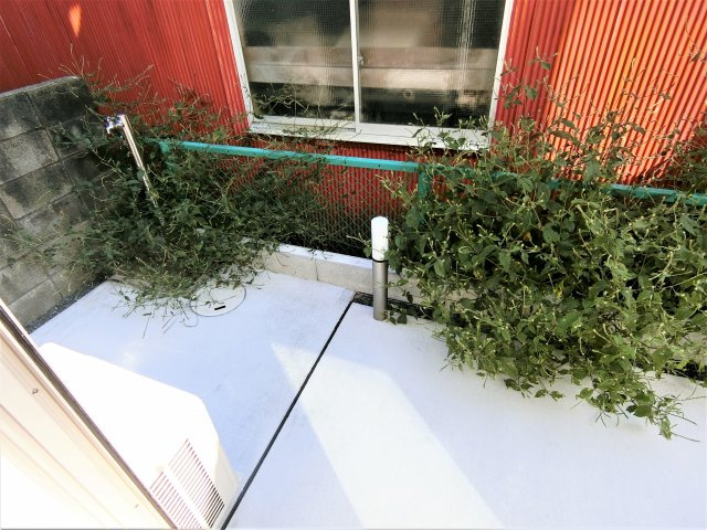 ＭＡＩＳＯＮ　ＴＲＵＦＦＥの庭