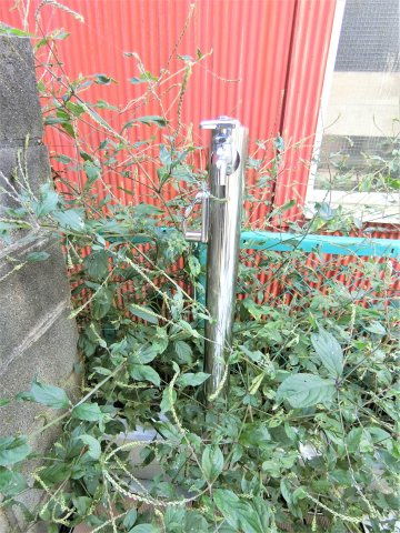 ＭＡＩＳＯＮ　ＴＲＵＦＦＥのその他