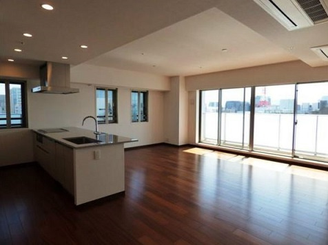 千代田区五番町の賃貸マンションのその他|リビング