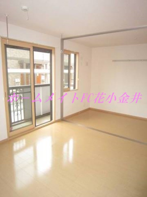 【展望】 | 花水木F