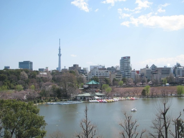 パークタワー上野池之端の展望