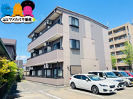 オーシャン・Ｔの画像