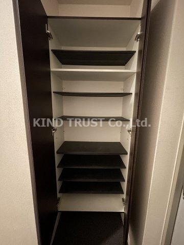 カルムレトリア西梅田の収納|こまごまとしたものを収納できそうですね