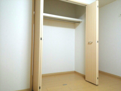 【収納】 | ストレリチア・オーガスタ