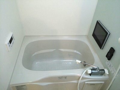 【浴室】 | ストレリチア・オーガスタ