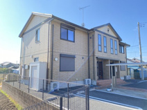 エバーグリーン Aの画像