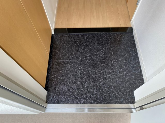 ドエル山王｜名古屋市の賃貸ならMy賃貸の玄関|ドエル山王