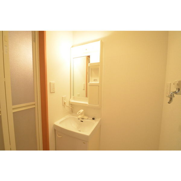 スタシオン泉の洗面所