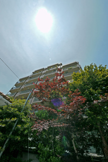 【外観】 | 春原マンションⅡ