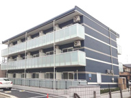 ヒマワリの画像