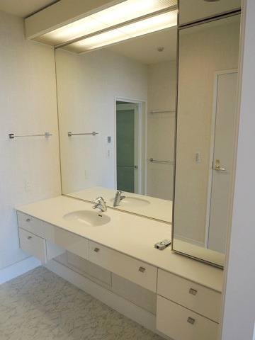 中央区佃１丁目の賃貸マンションのその他|洗面