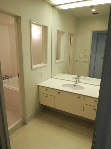 中央区佃１丁目の賃貸マンションのその他|洗面