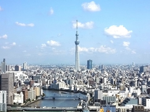 中央区佃１丁目の賃貸マンションのバルコニー|眺望