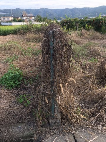 和歌山市吐前・土地・56744の周辺