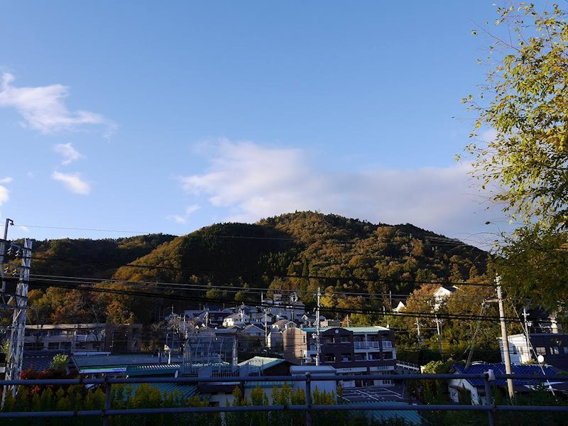 東大池2丁目戸建の展望