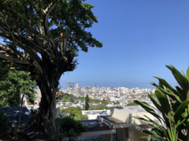 那覇市首里山川町1丁目　土地の画像