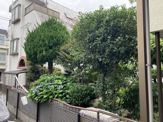 池上荘の展望