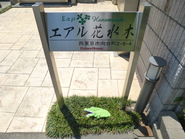 エアル花水木のその他