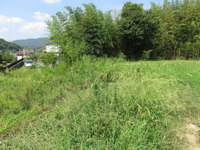 贅沢・余裕のある土地