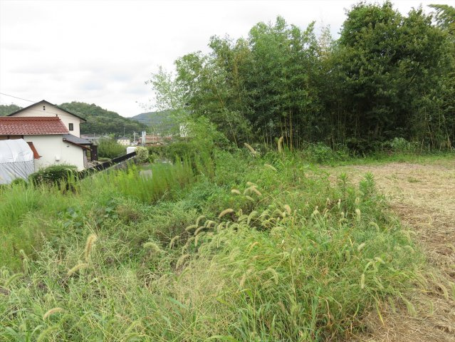 贅沢・余裕のある土地