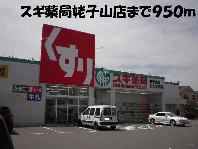 ピノ　カーサの周辺|スギ薬局姥子山店まで950m