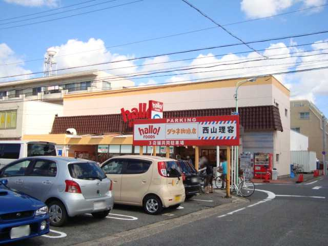 K．コオリナの周辺|ハローフーヅ中根店まで298ｍ