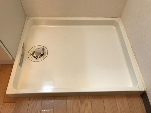 ノースフェザントのその他|洗濯機置場