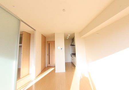 グリーンルーフの居間・リビング|おしゃれな居間です