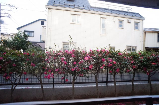 ジョイフル津田沼の展望