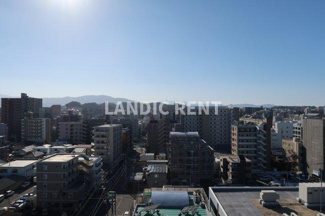 【展望】 | LANDIC PREMIUM O115