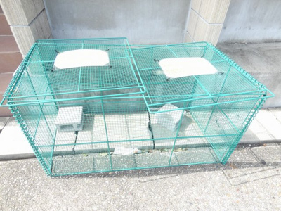 【その他共用部分】 | ハーモニーテラス塩釜口