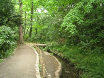 The Well Mejiroの周辺|おとめ山公園