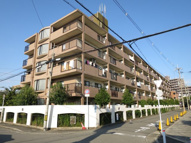 メゾンクリサンテームの画像