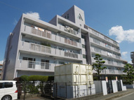 グレース末廣の画像