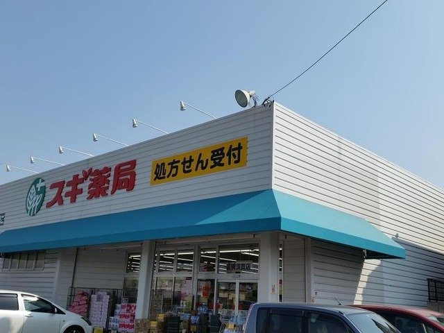 メゾン中の池の周辺|スギ薬局高横須賀店まで1600m
