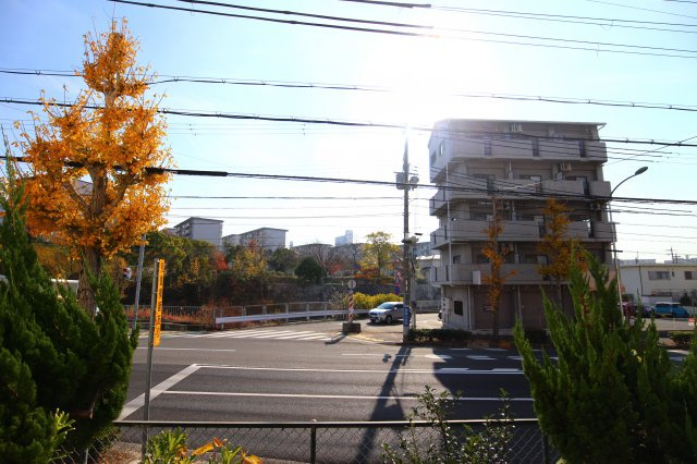 大沢マンションの展望