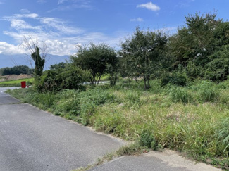 【外観】 | 北東角から撮影