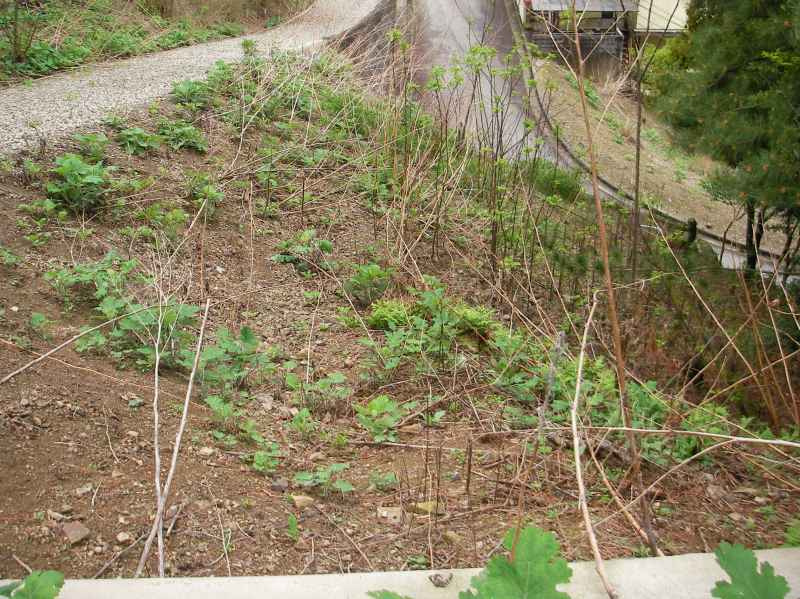 姫路市安富町安志／売土地