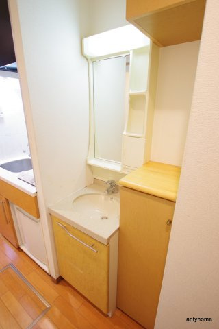 エステムコート大阪城前・OBPリバーフロント　仲介手数料無料の洗面所