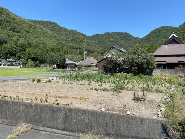 たつの市新宮町上笹／売土地の前面道路含む現地写真|【現況写真】