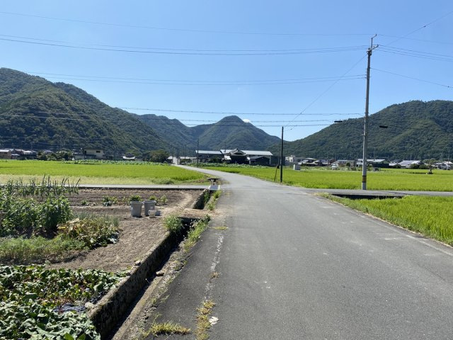 たつの市新宮町上笹／売土地の前面道路含む現地写真|【現況写真】