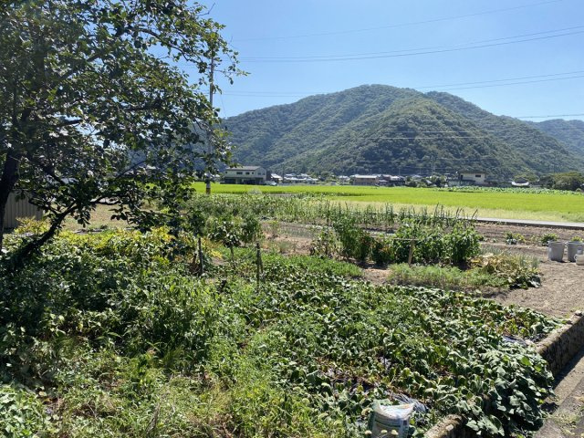 たつの市新宮町上笹／売土地の前面道路含む現地写真|【現況写真】