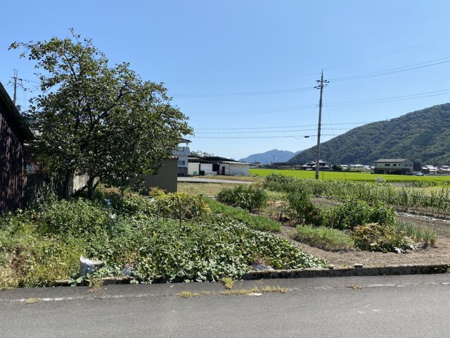 たつの市新宮町上笹／売土地の前面道路含む現地写真|【現況写真】