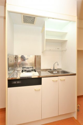 【キッチン】 | Sanctuary Amasia | 参考写真（同物件別部屋）