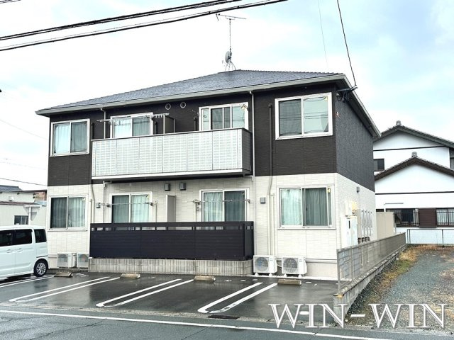 Irisの外観