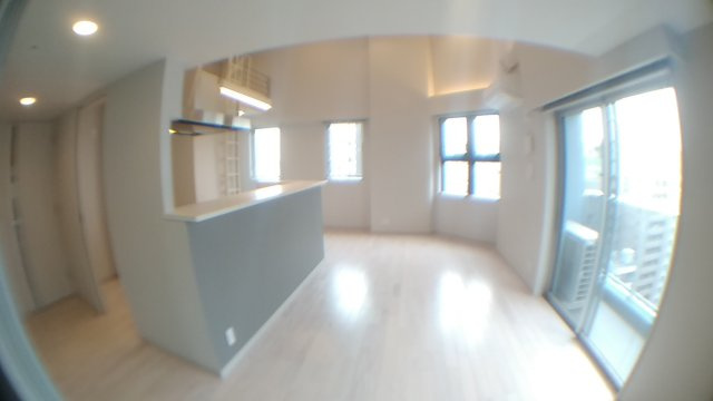 中央区新富１丁目の賃貸マンションのその他|リビング