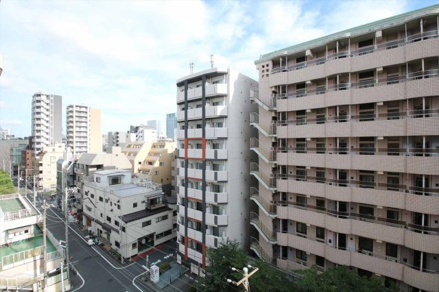 ライオンズマンション錦糸町第2の展望