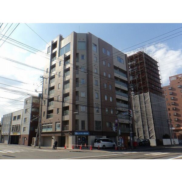 Couleur Court Yamahanaのその他