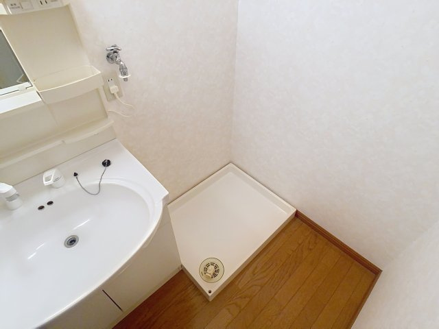 シャロームのその他